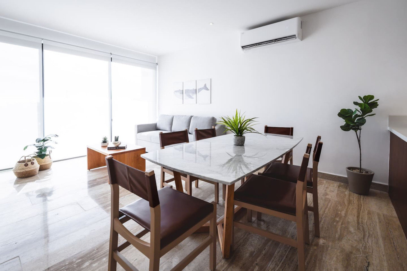 CABO SAN LUCAS Vacation Rental