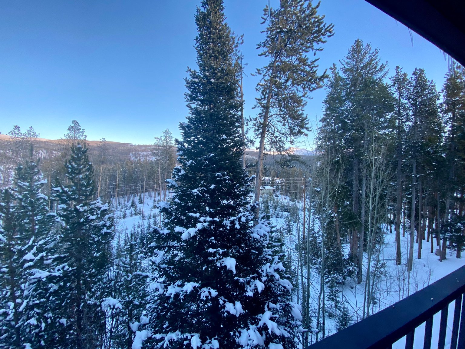 Winter Park Vacation Rental