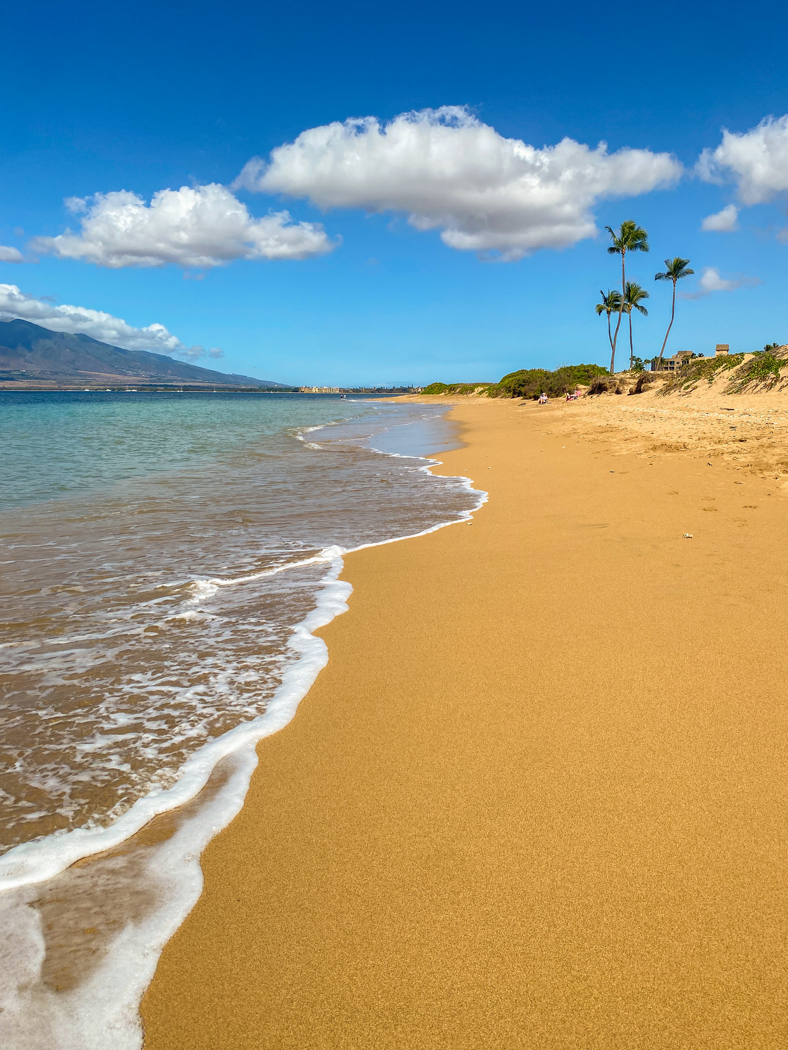 Kihei Vacation Rental