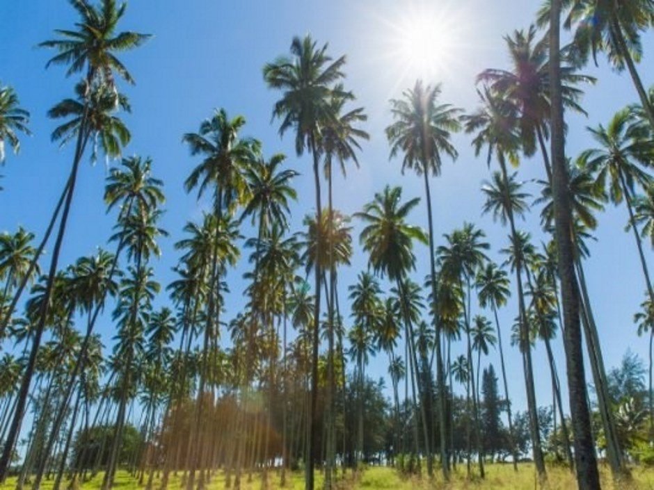 Kapaa Vacation Rental