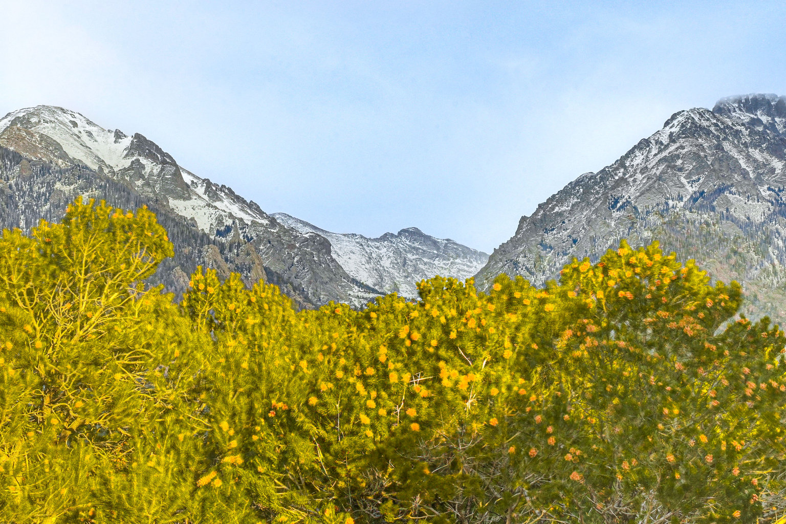 Crestone Vacation Rental