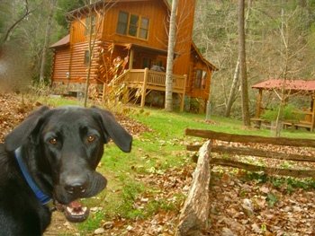 Ellijay Vacation Rental