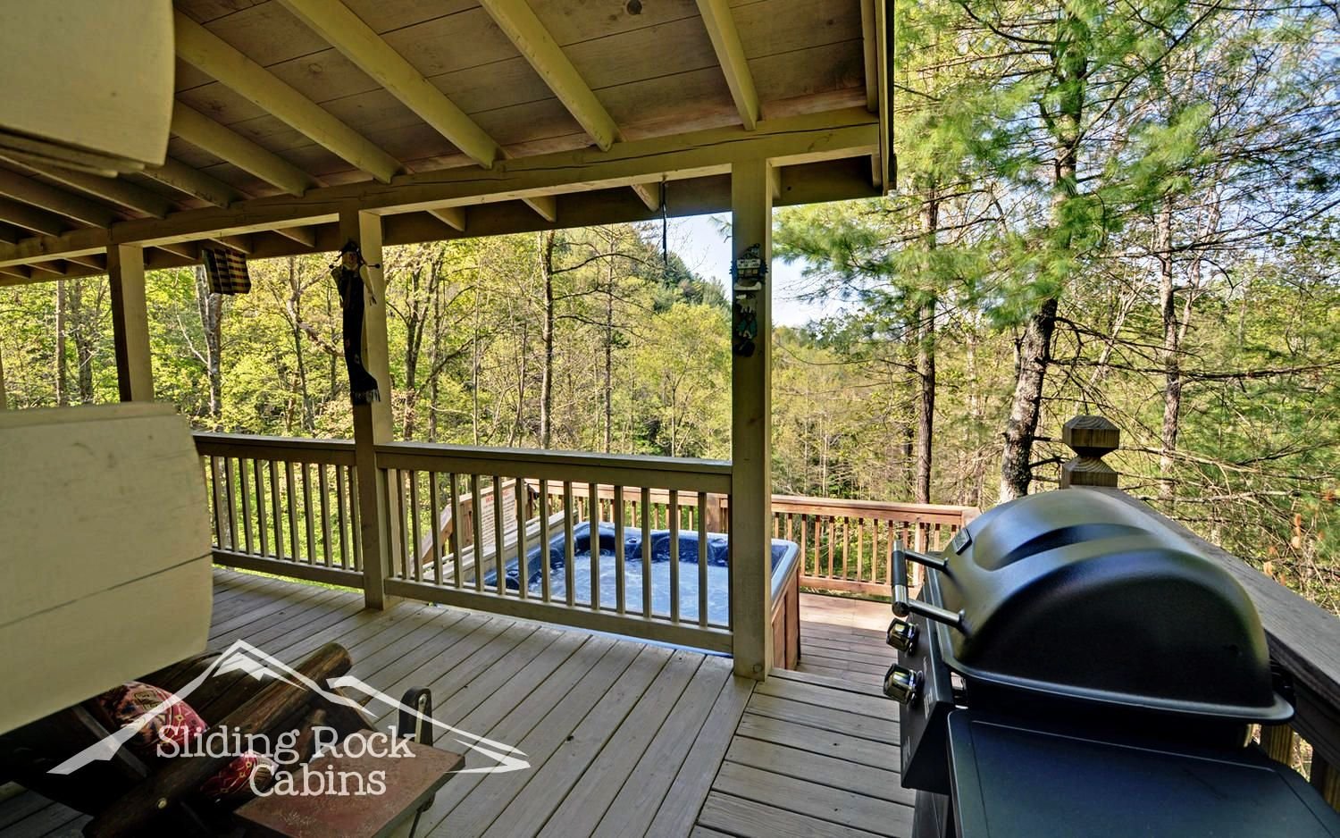 Ellijay Vacation Rental
