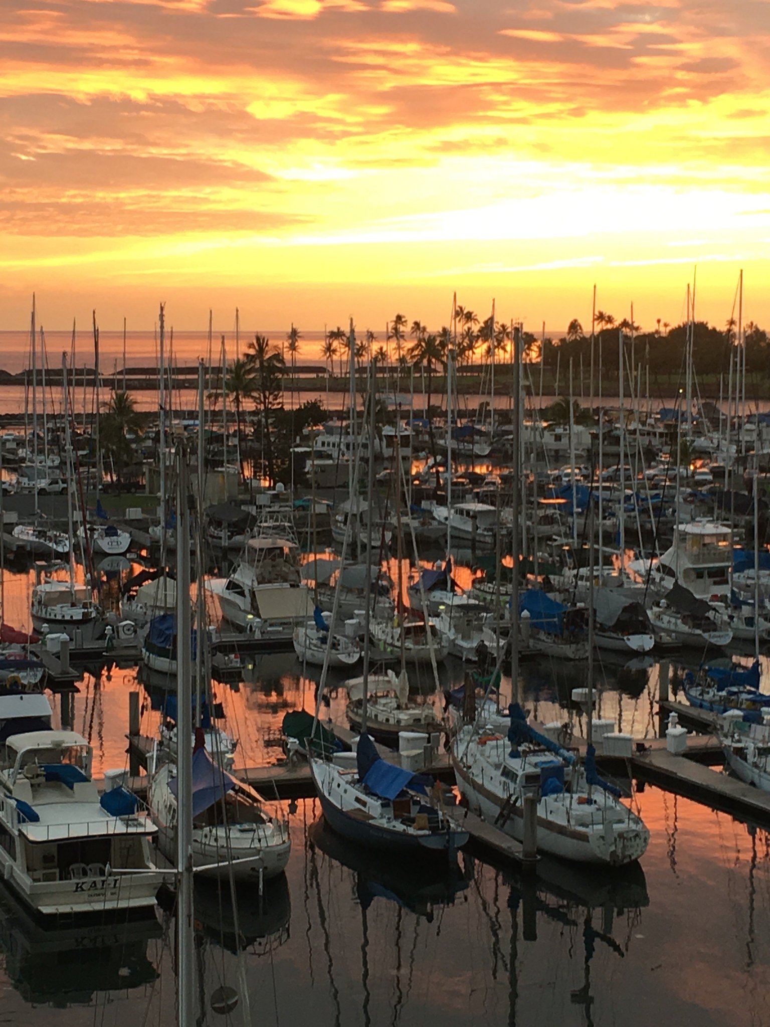 Honolulu Vacation Rental