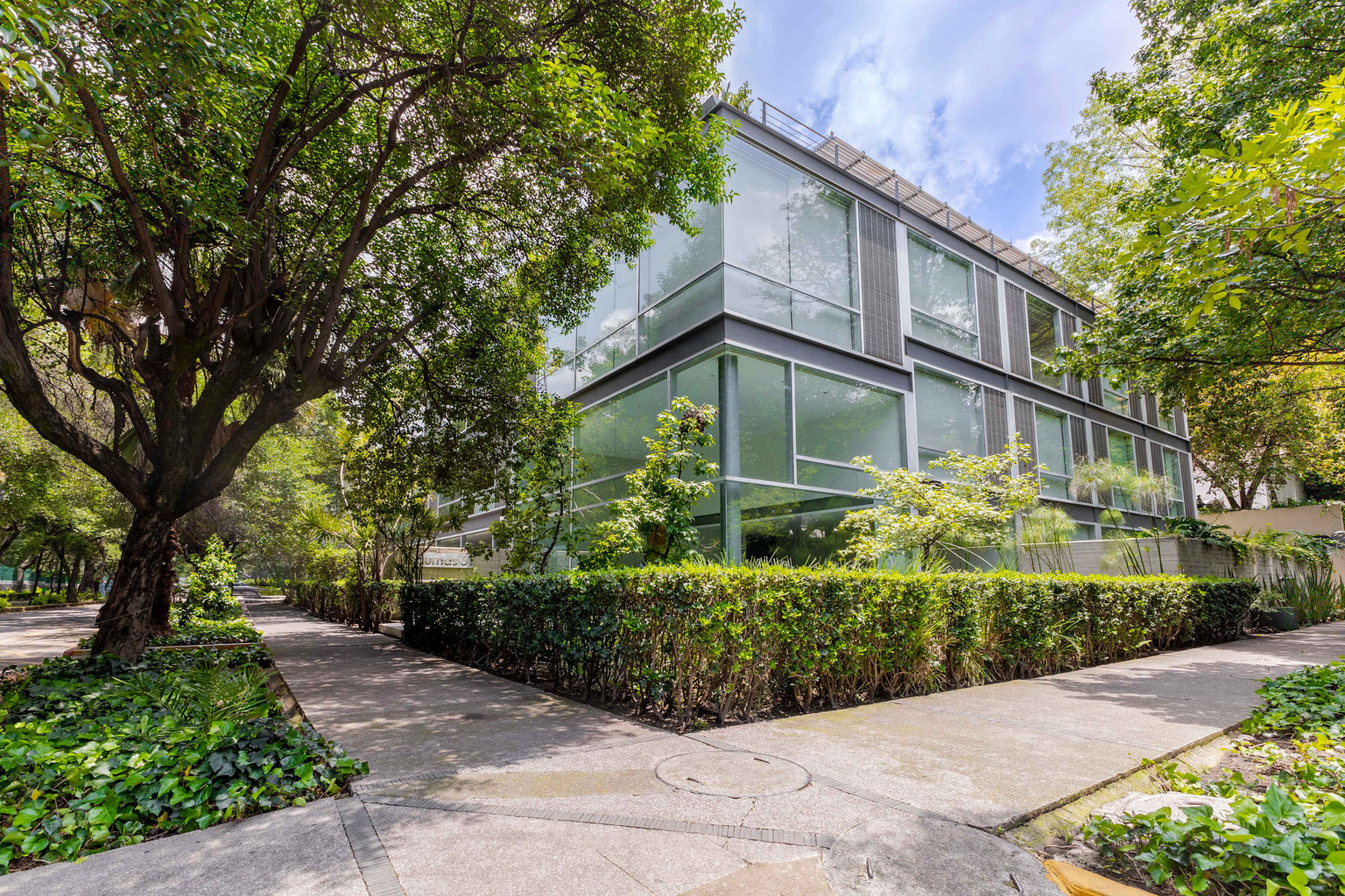 Ciudad de México Vacation Rental