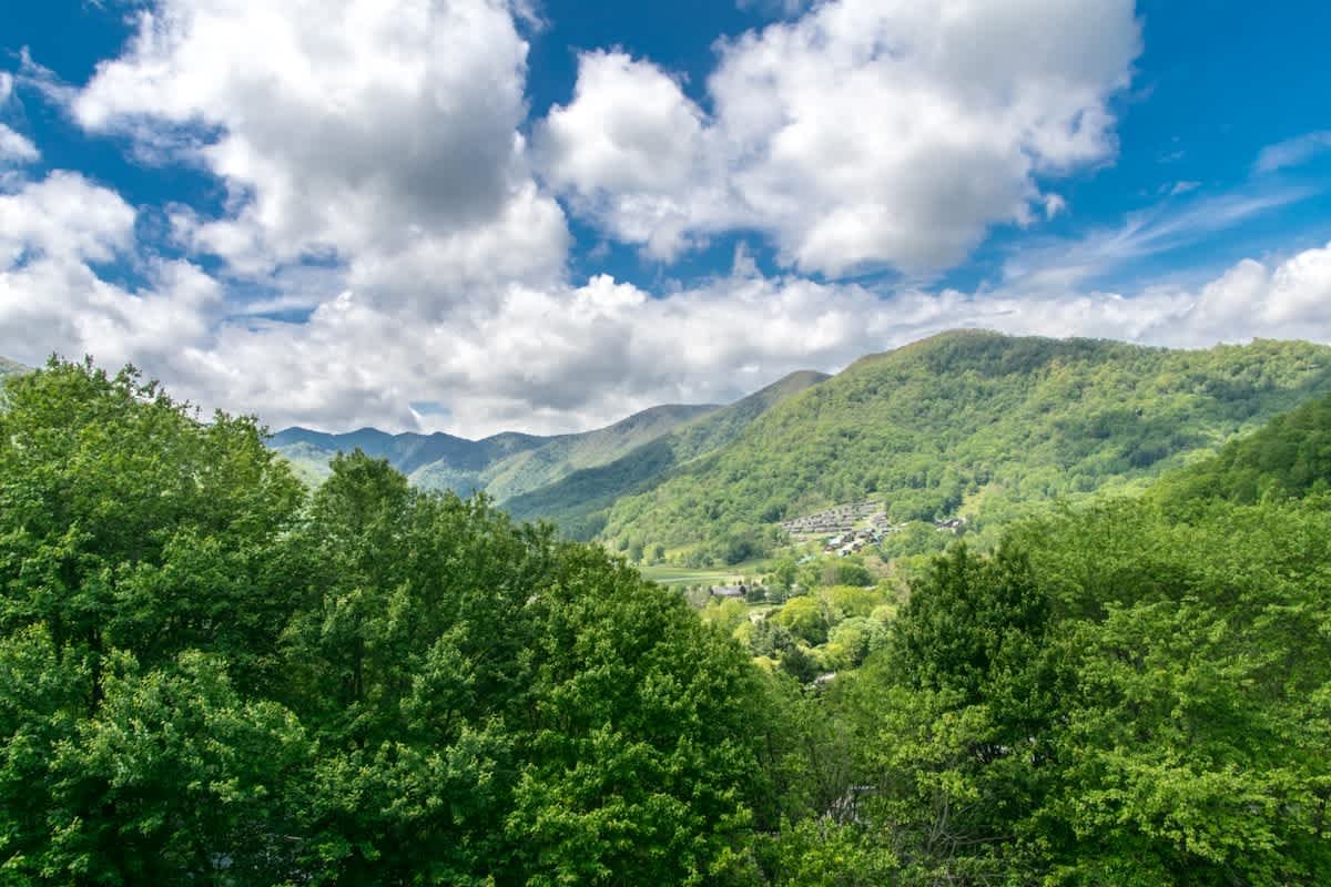 Maggie Valley Vacation Rental