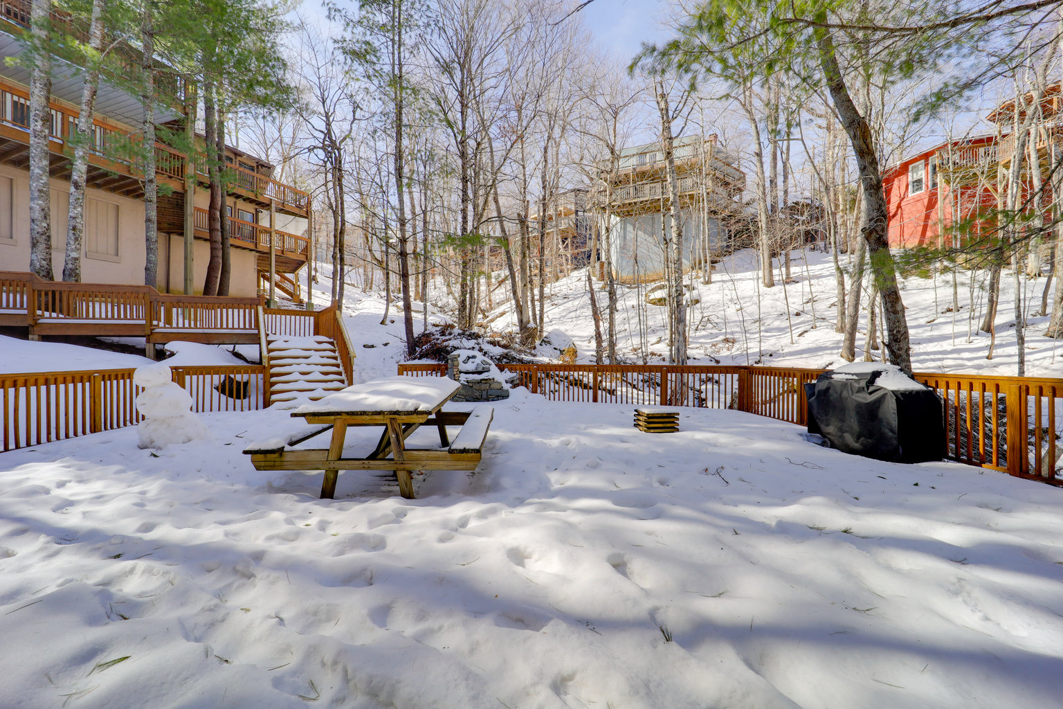 Beech Mountain Vacation Rental