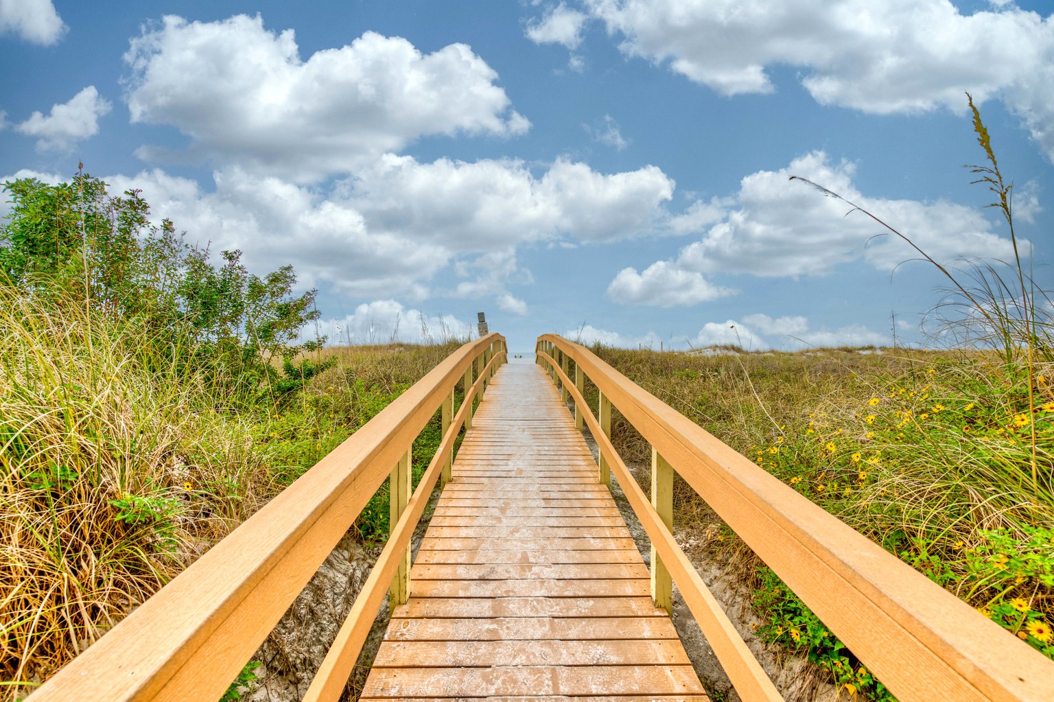 Treasure Island Vacation Rental