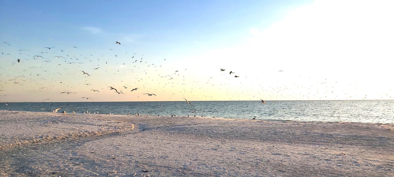 Treasure Island Vacation Rental