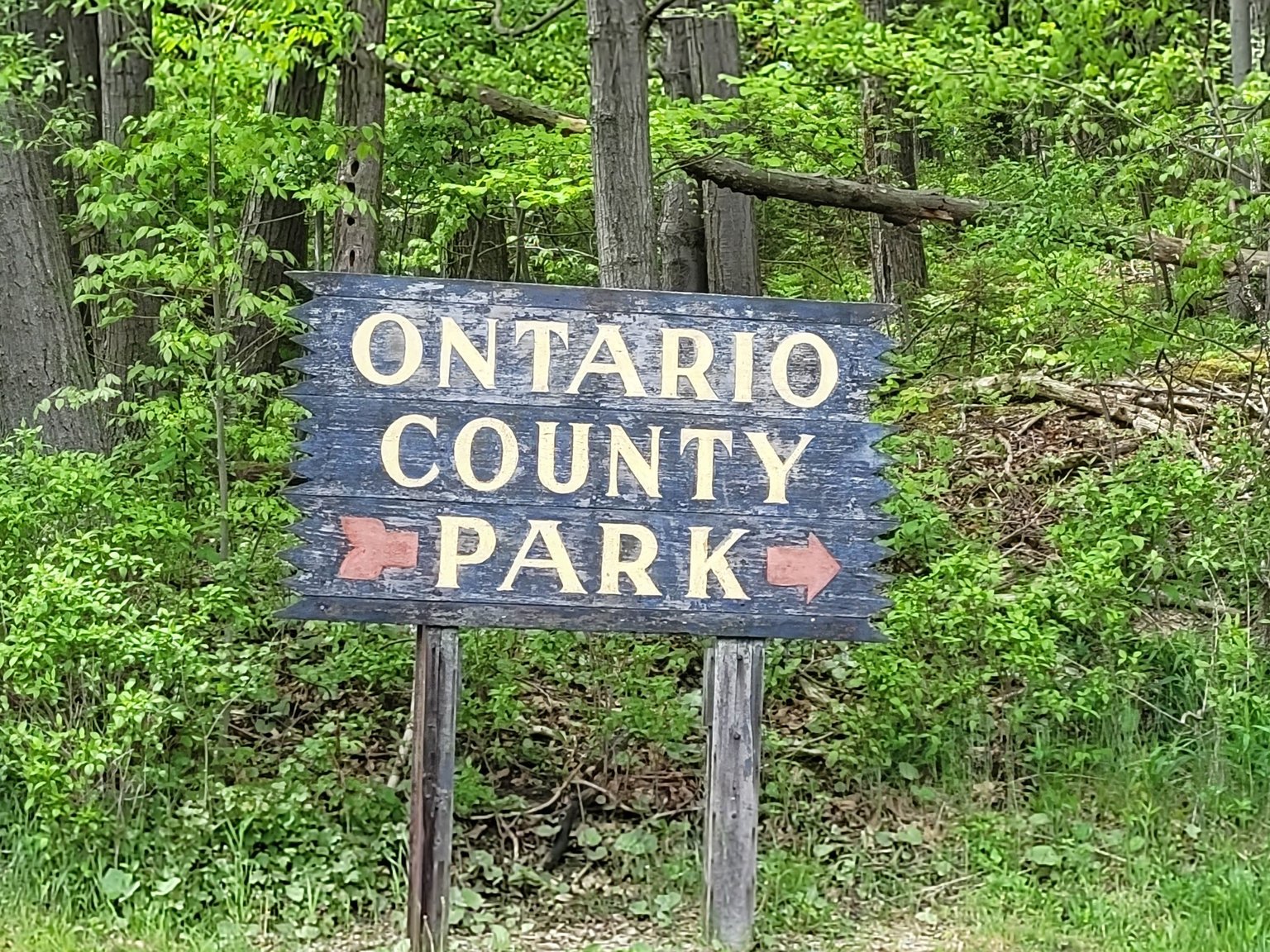 Naples Vacation Rental