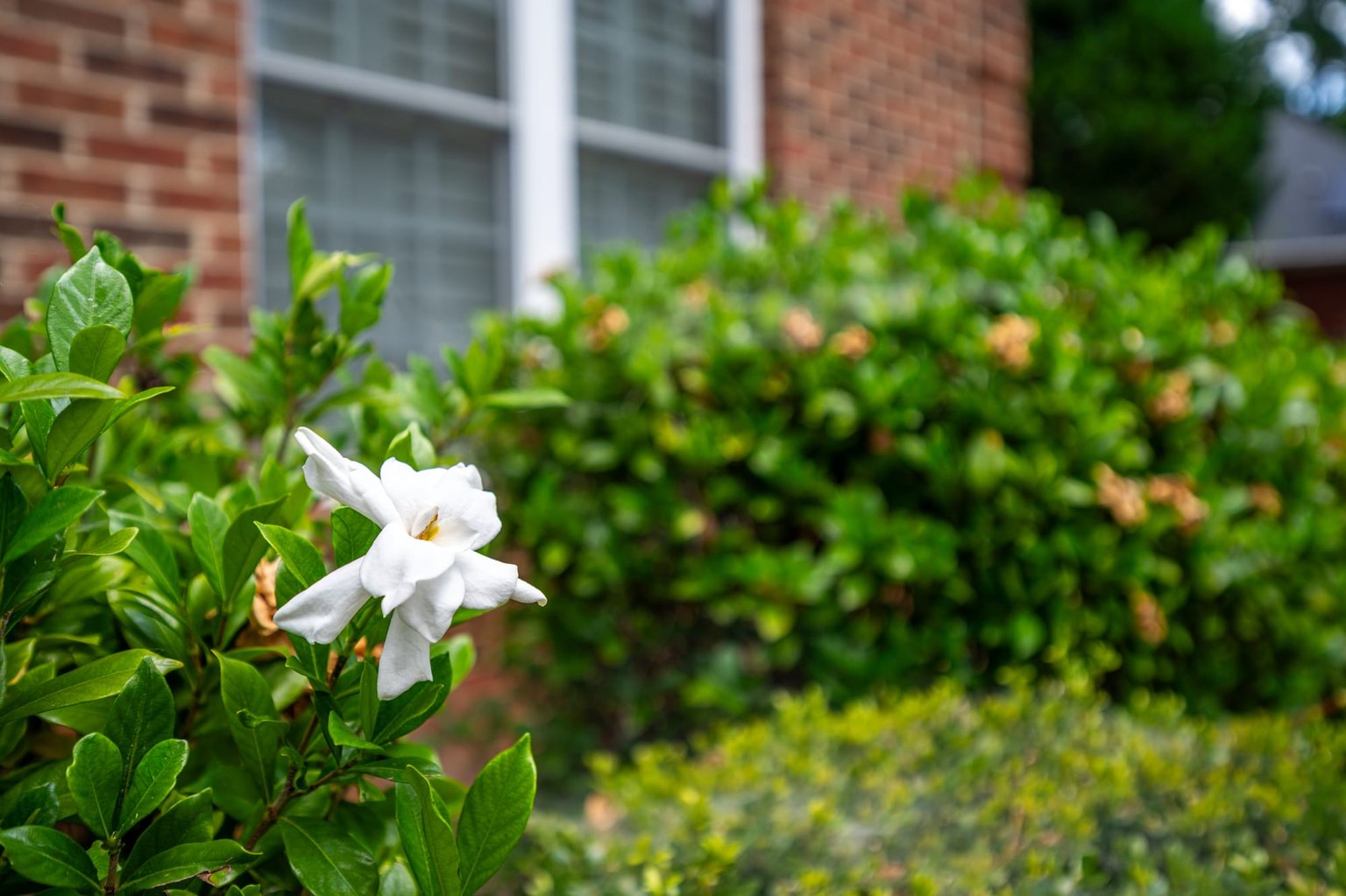 Sanford Vacation Rental