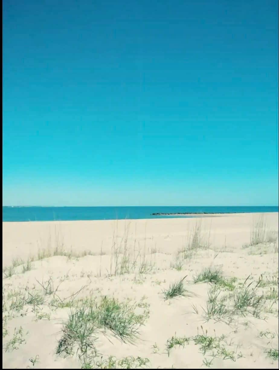 Norfolk Vacation Rental