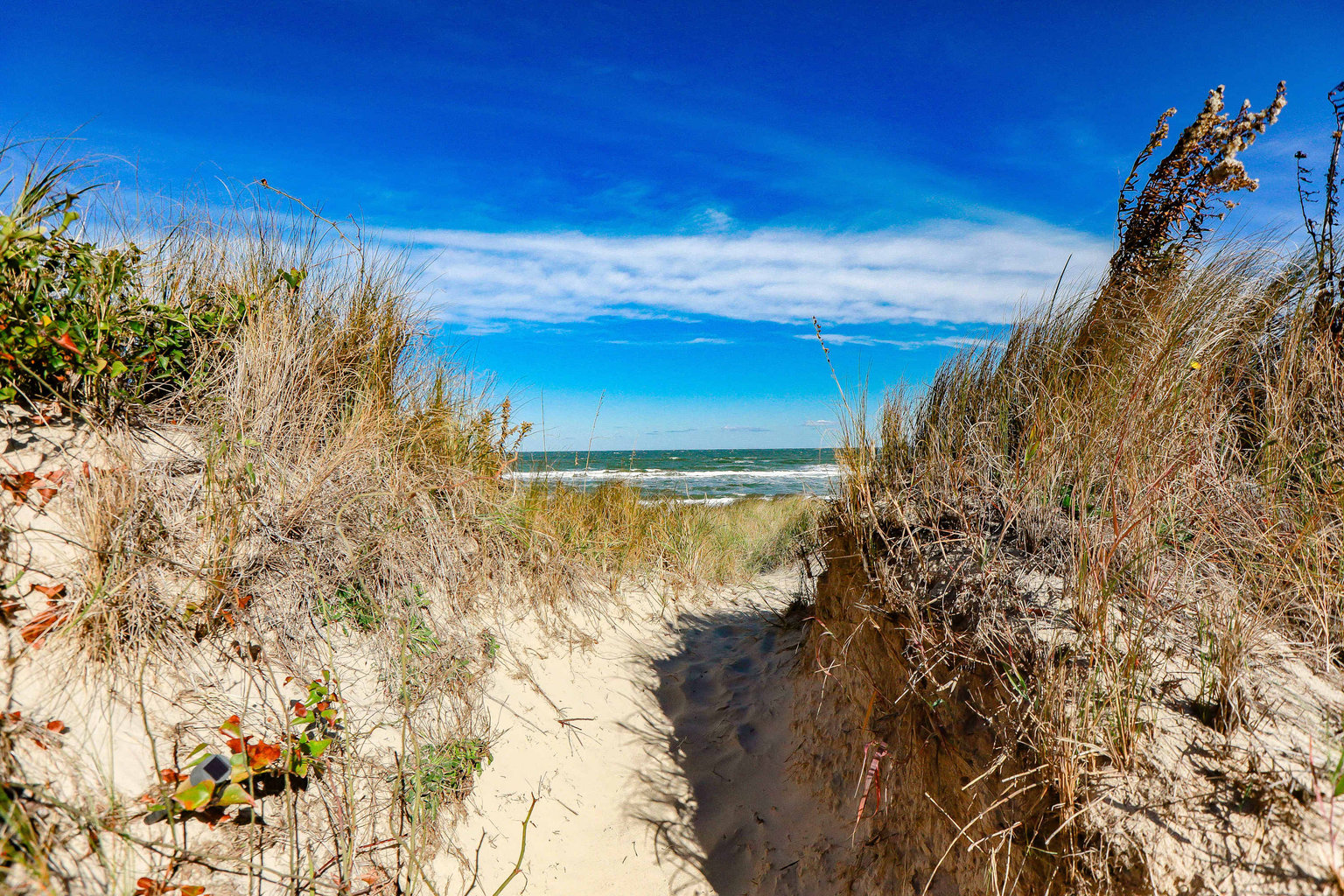 Norfolk Vacation Rental