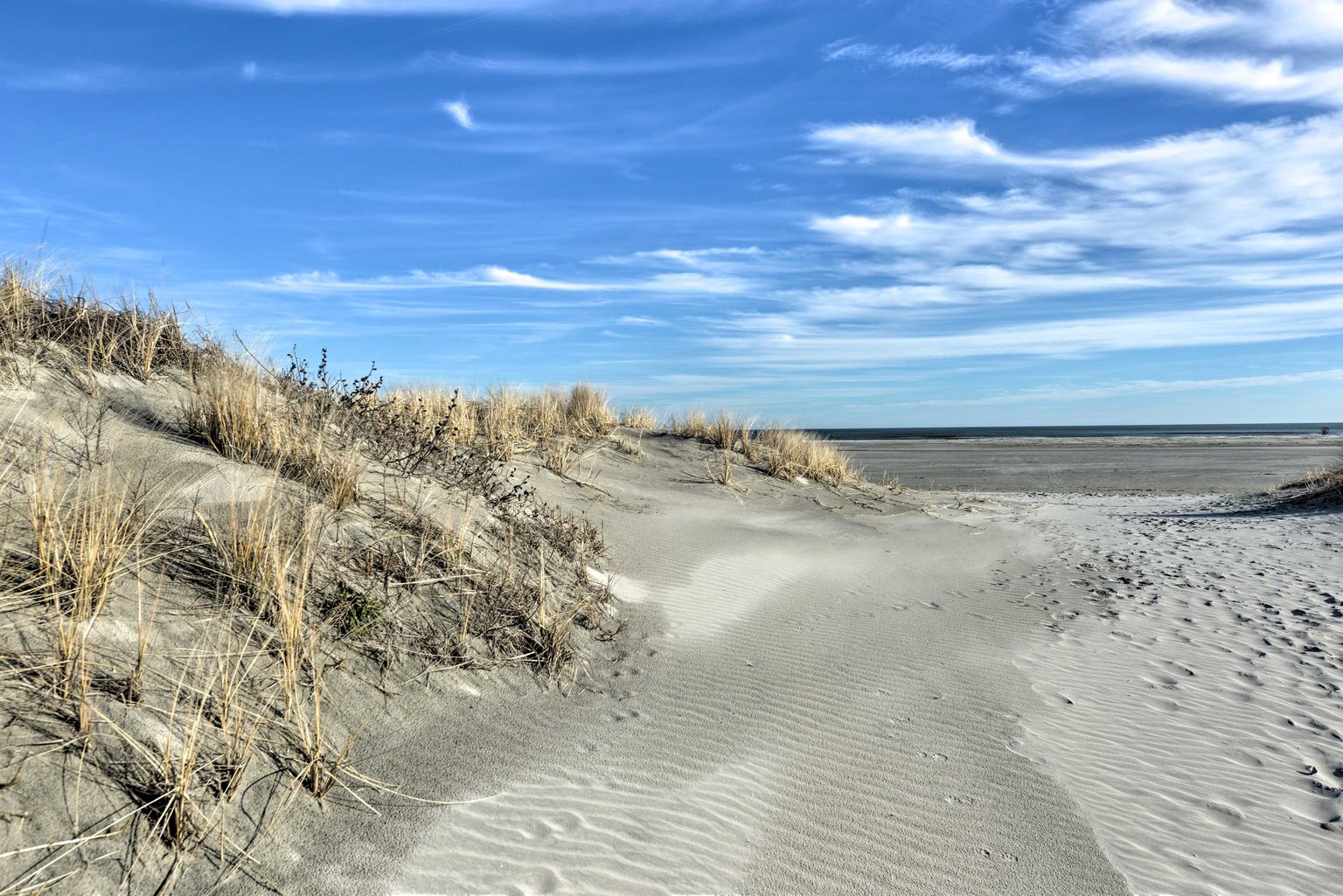 Wildwood Crest Vacation Rental