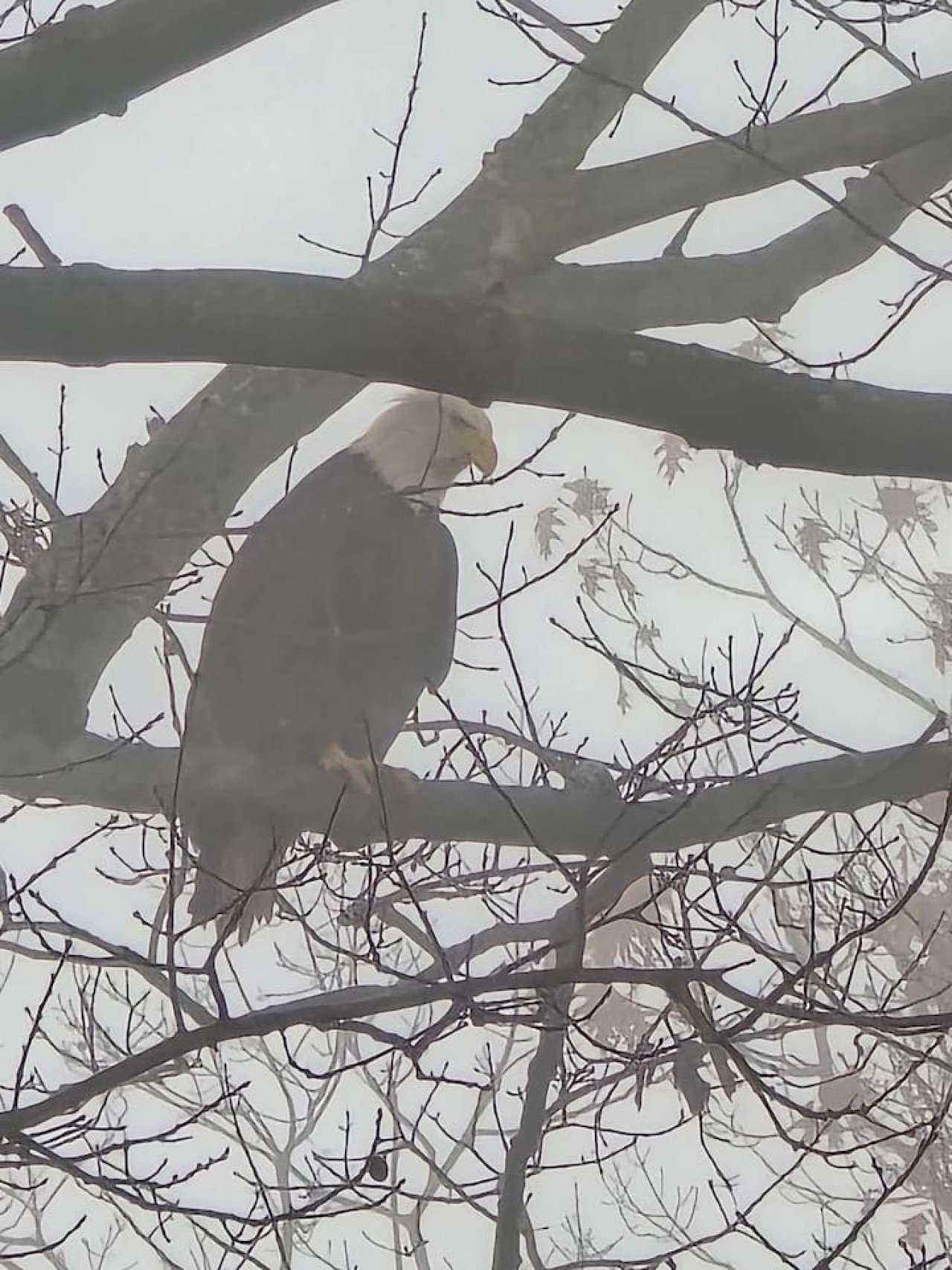 Streetsboro Vacation Rental