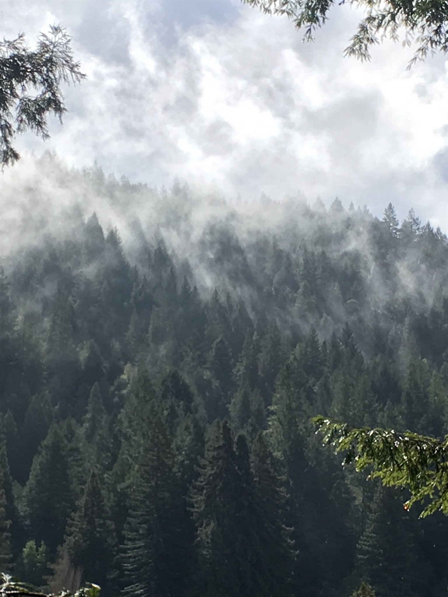 Monte Rio Vacation Rental