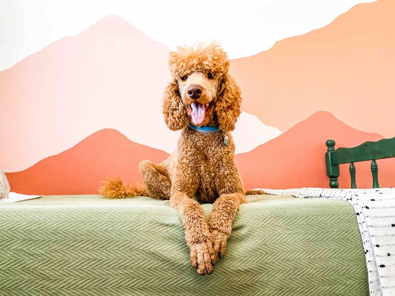 Boise Vacation Rental