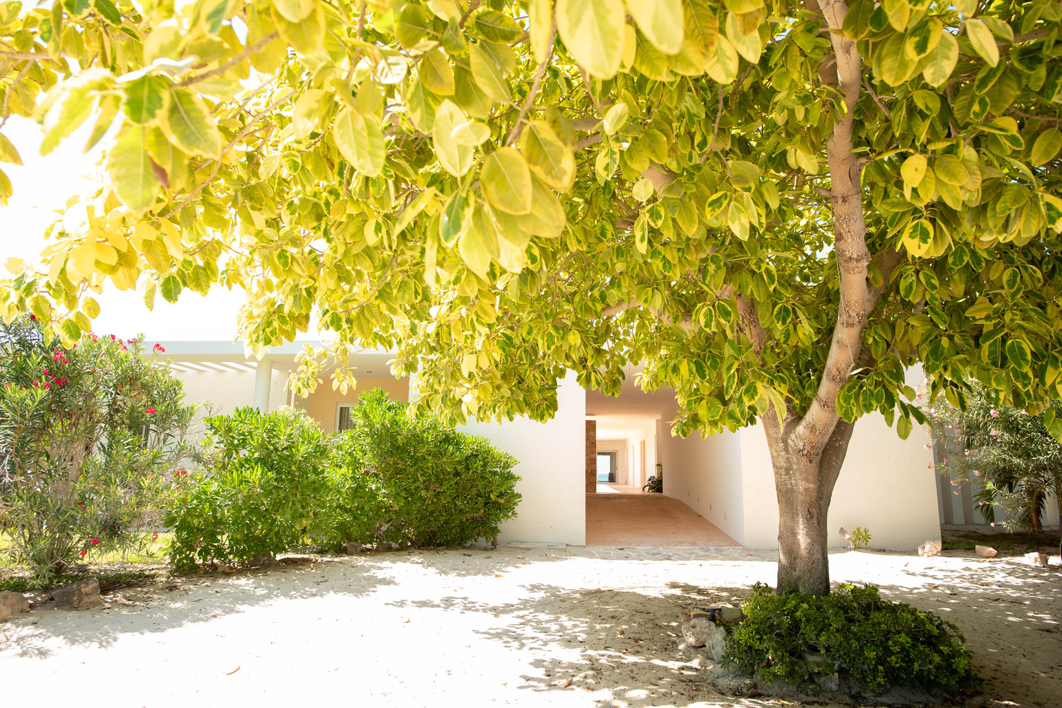 Chicxulub Vacation Rental