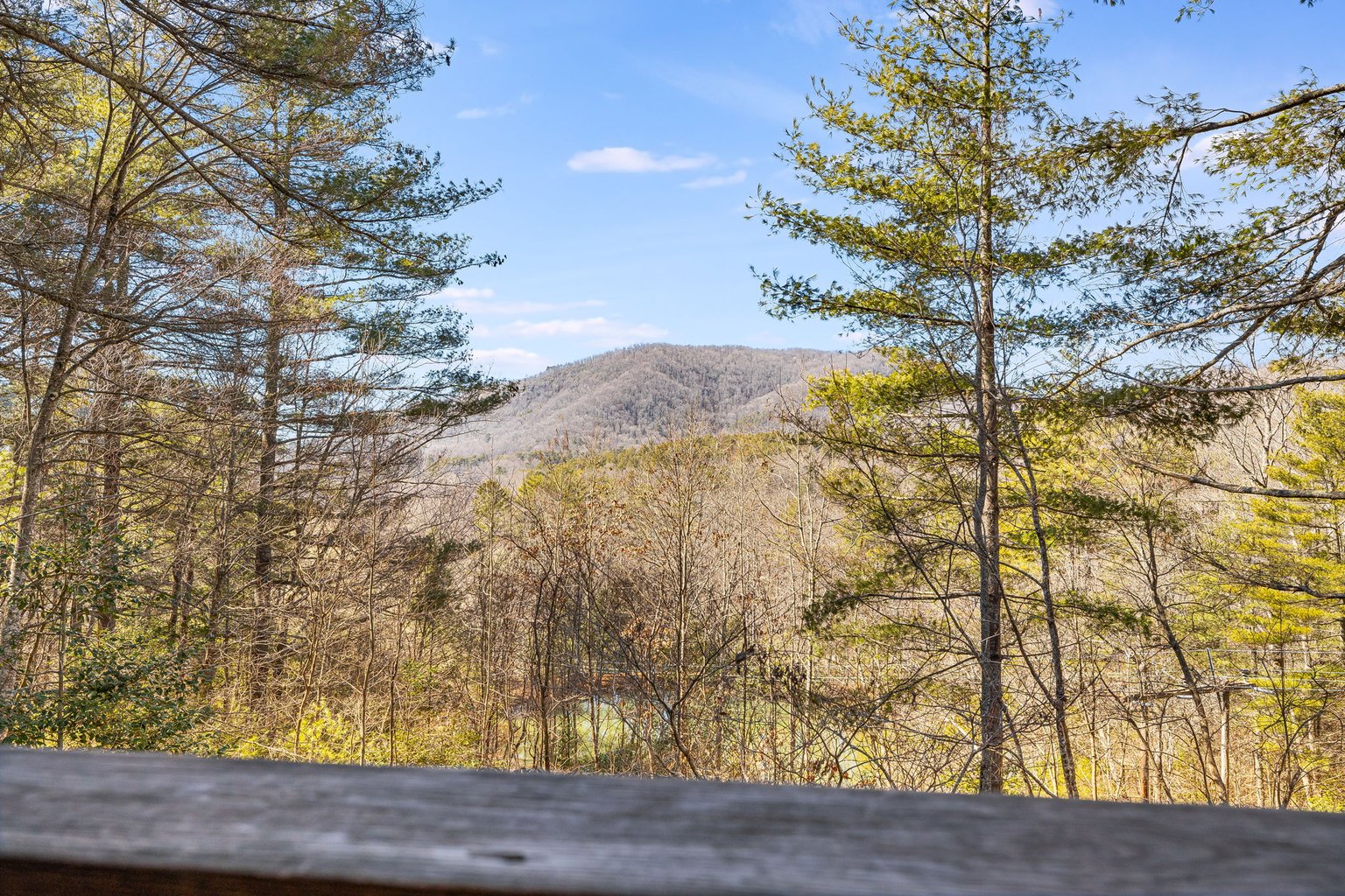 Hendersonville Vacation Rental