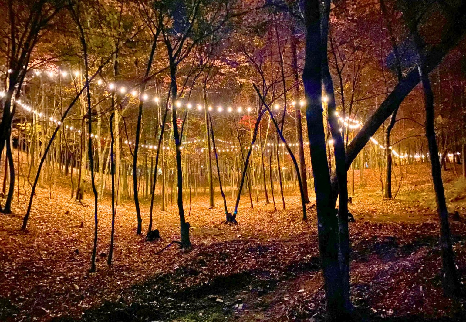 Broken Bow Vacation Rental