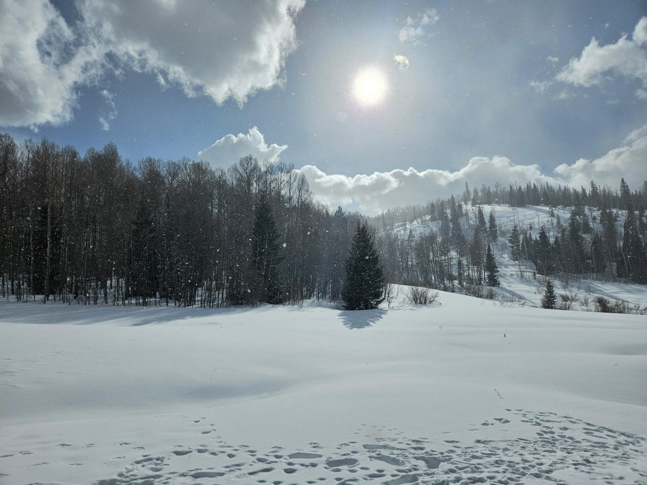 Silverthorne Vacation Rental