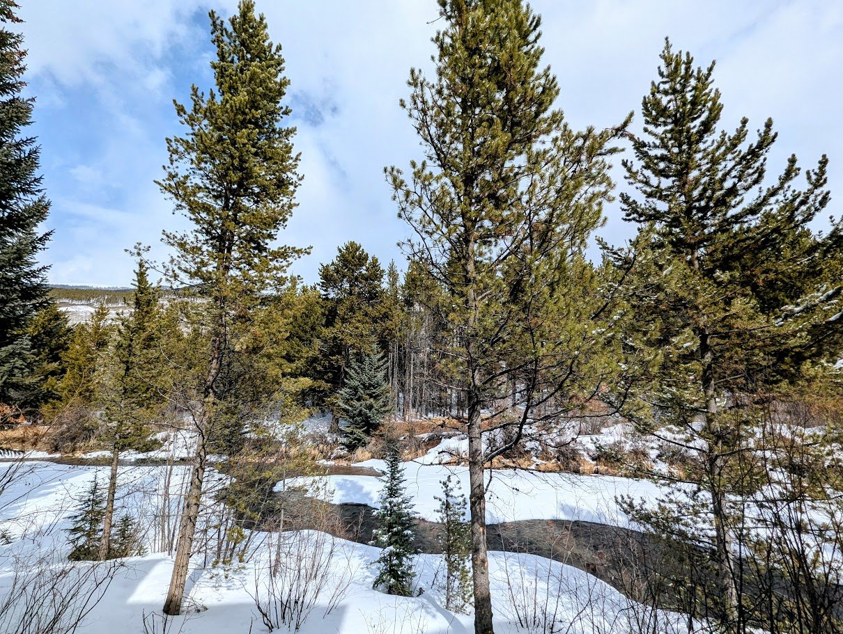 Keystone Vacation Rental