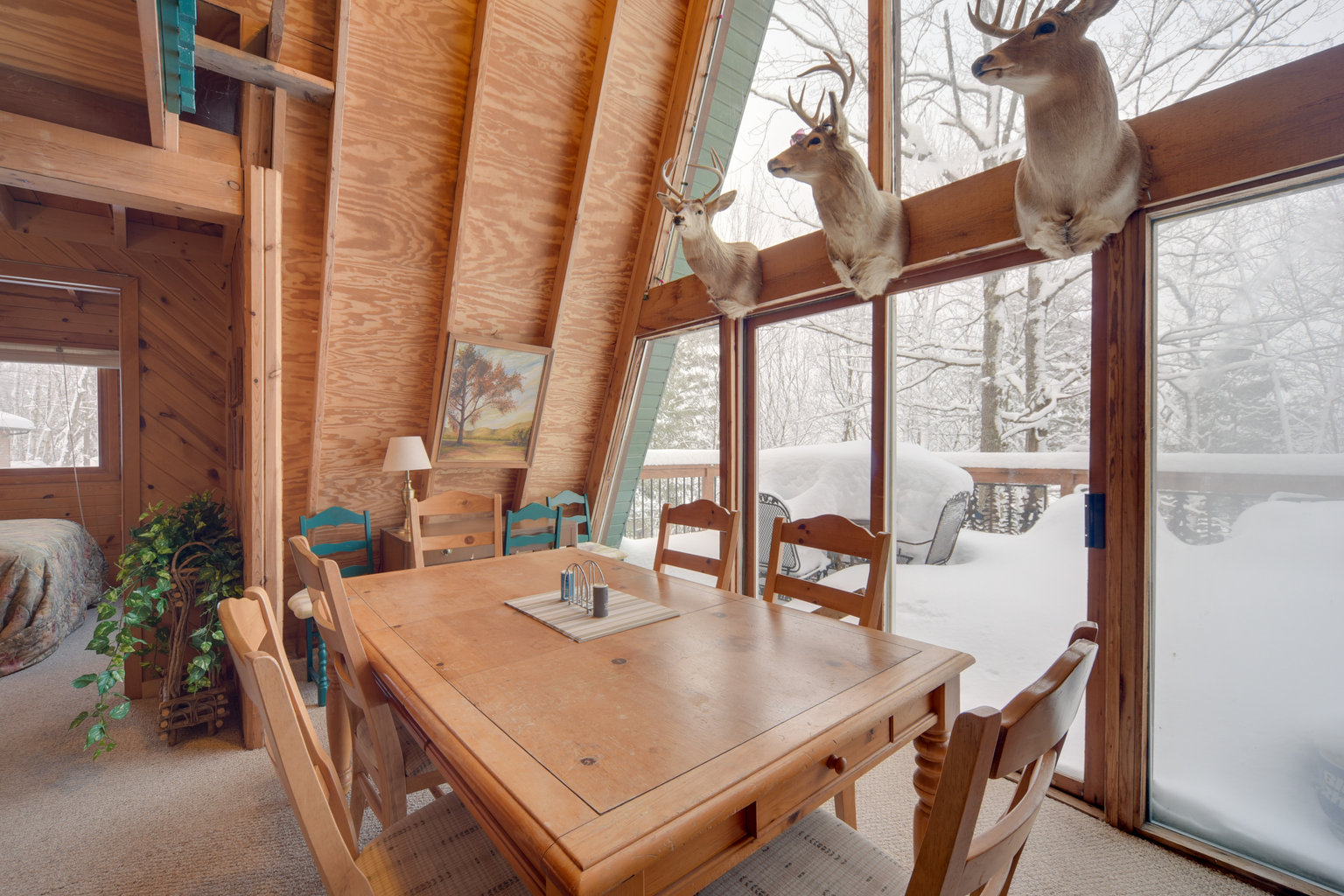 Hayward Vacation Rental