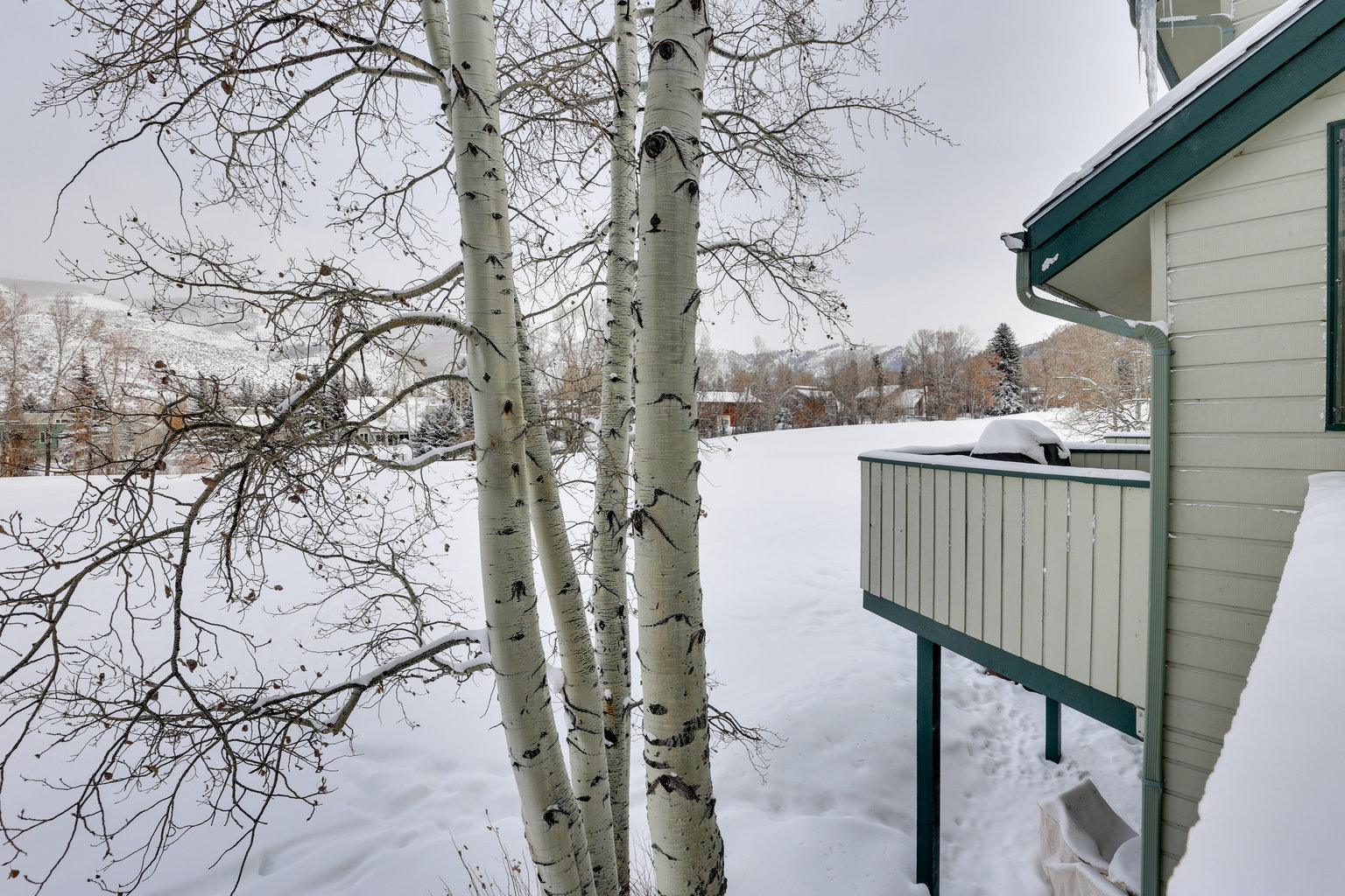 Beaver Creek Vacation Rental