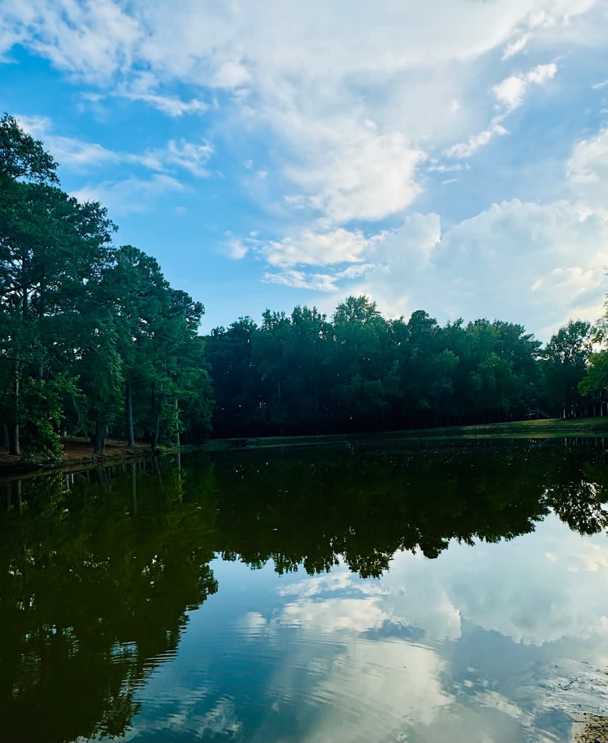 Auburn Vacation Rental