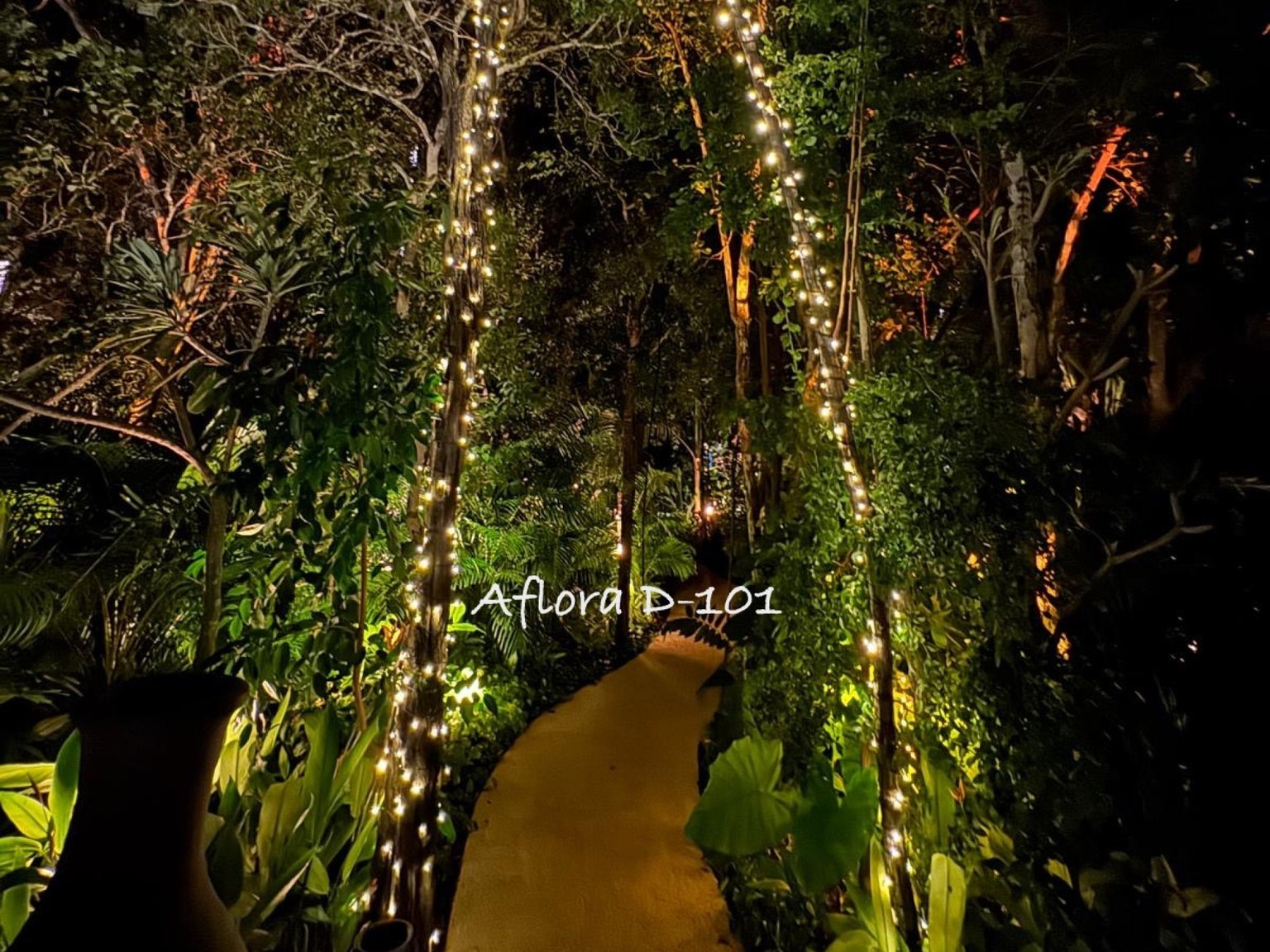 Tulum Vacation Rental