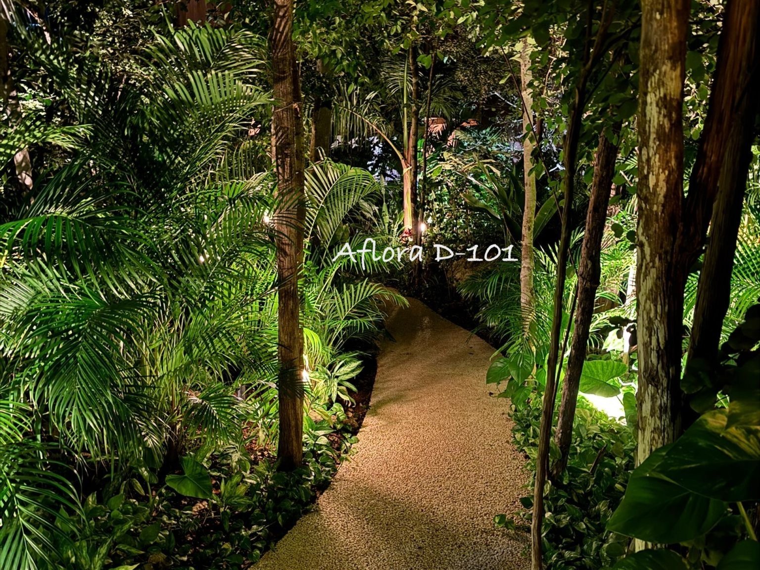 Tulum Vacation Rental