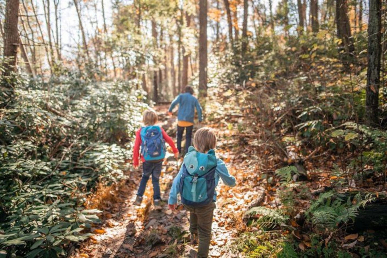 Mill Valley Vacation Rental