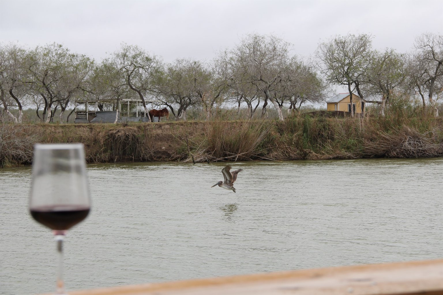 Brownsville Vacation Rental