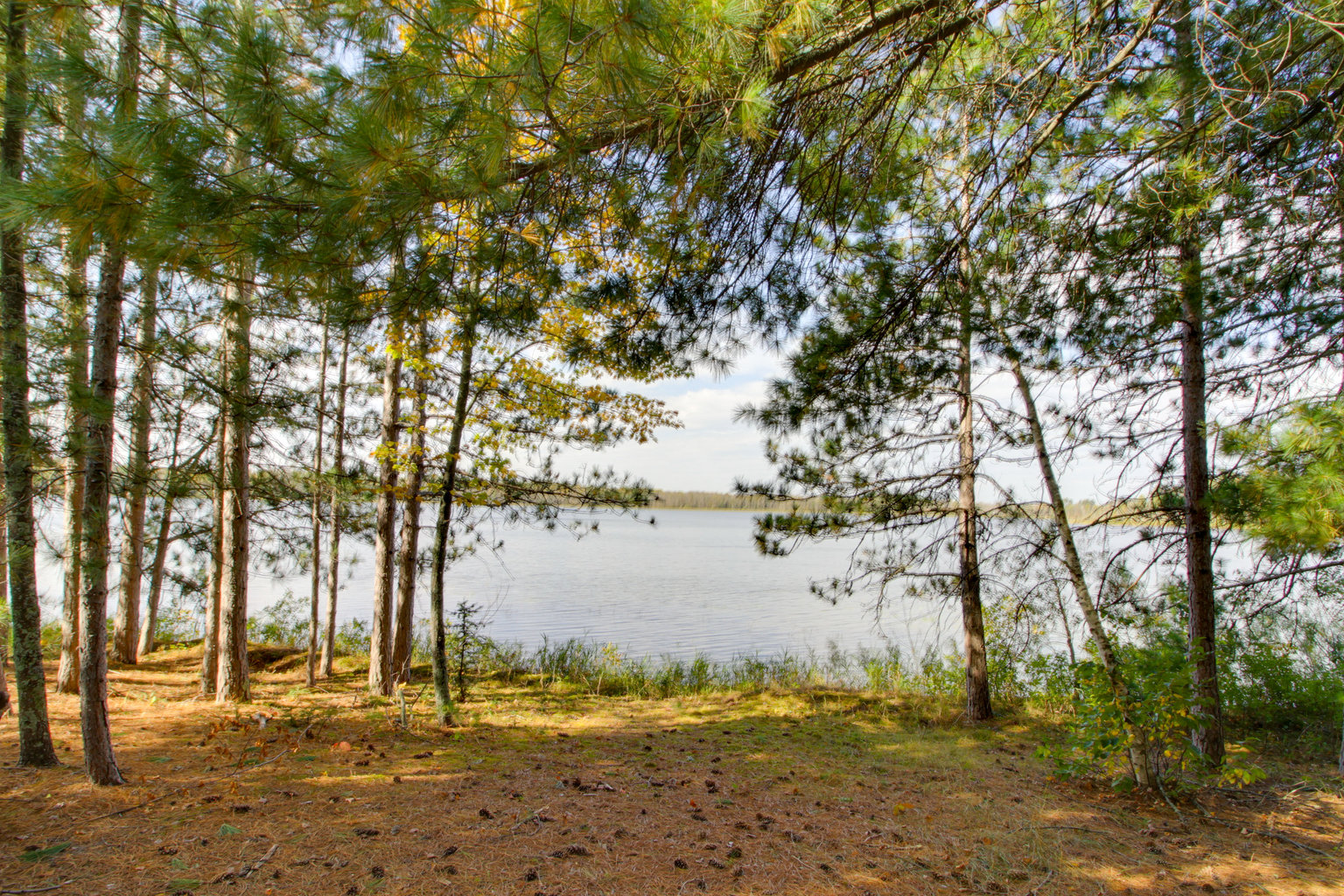 Deer River Vacation Rental