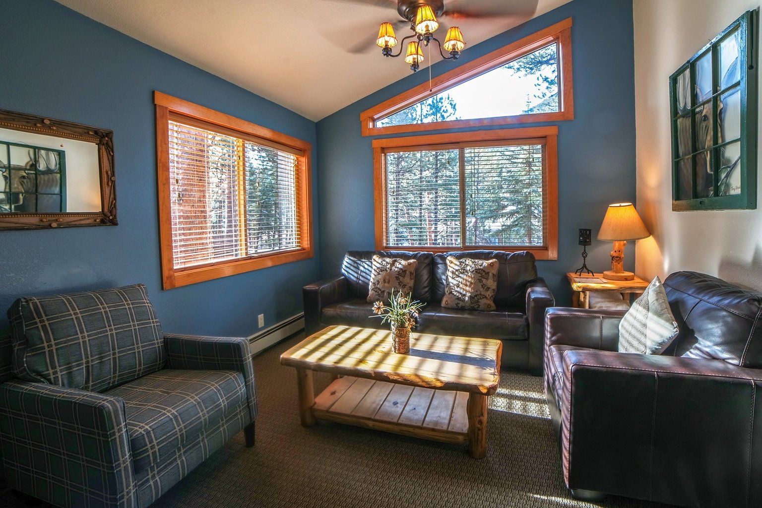 Estes Park Vacation Rental