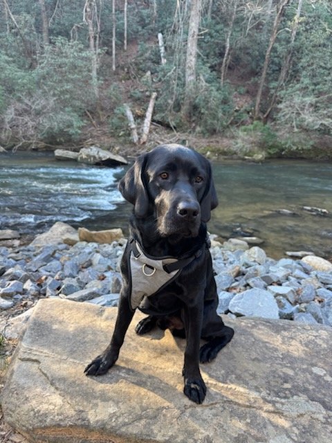 Ellijay Vacation Rental