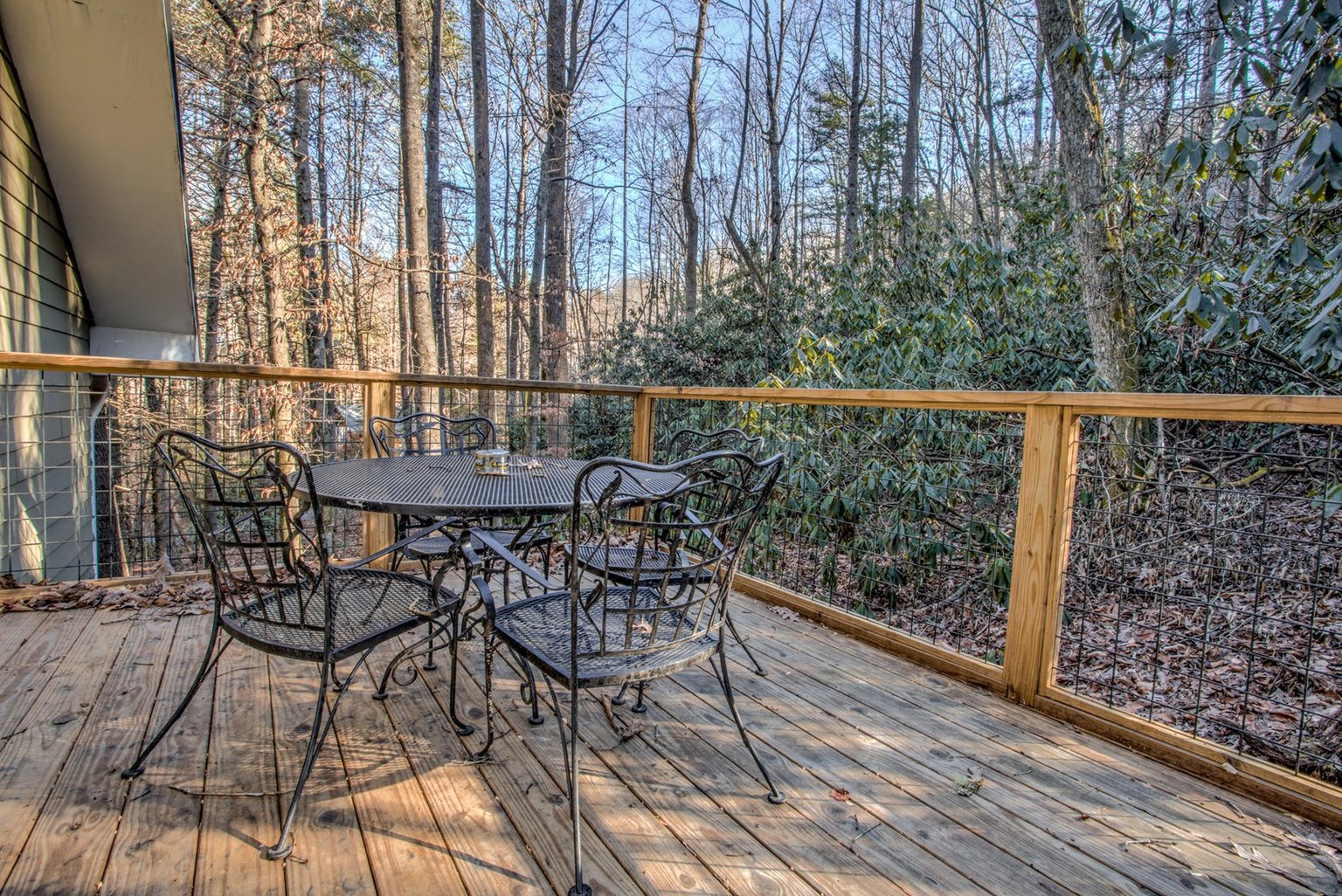 Pisgah Forest Vacation Rental