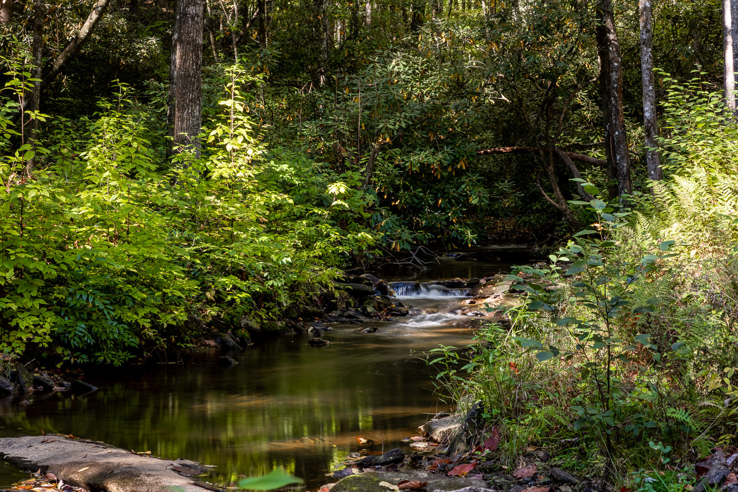 Lake Toxaway Vacation Rental