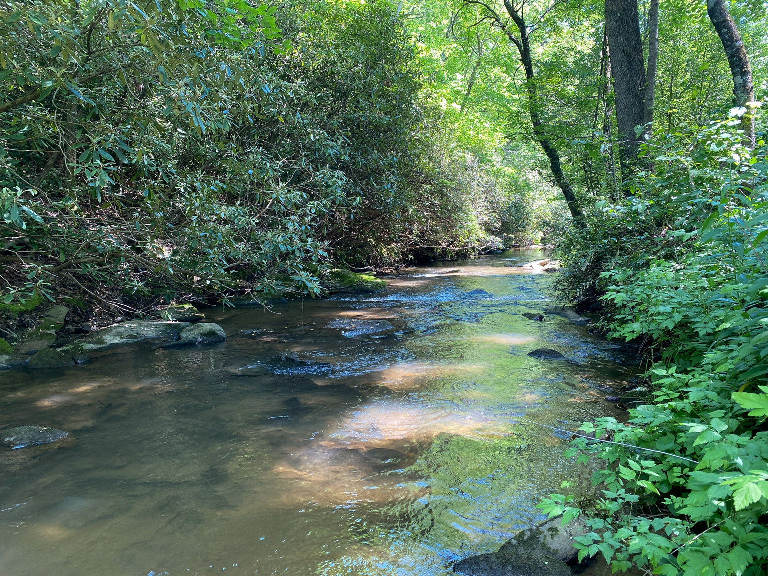 Fairview Vacation Rental