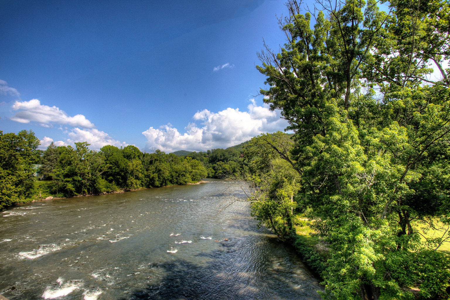 Asheville Vacation Rental