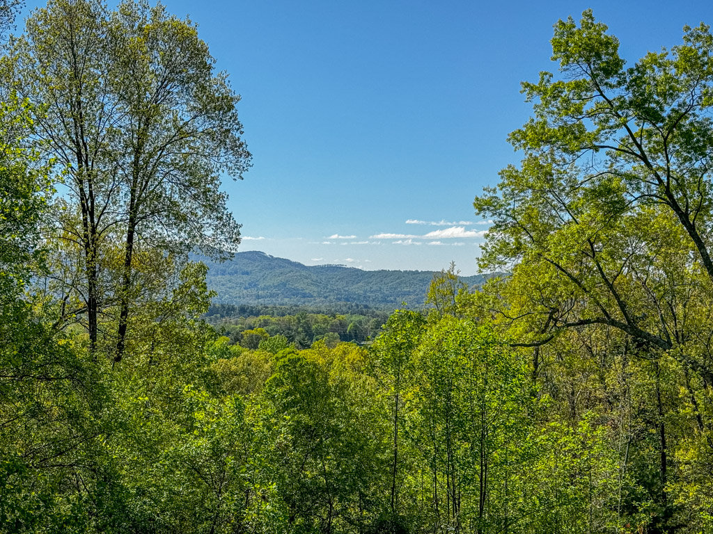 Arden Vacation Rental