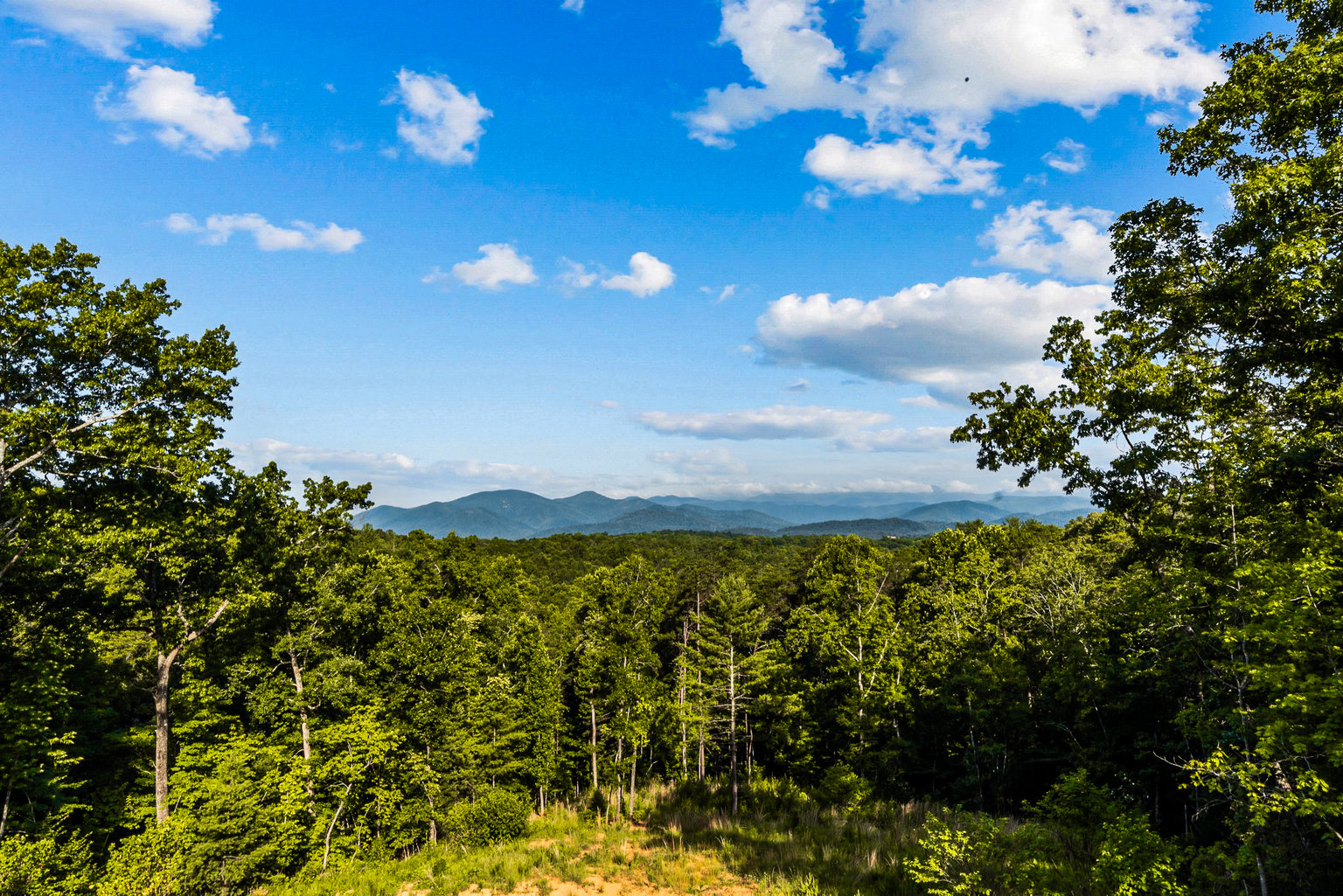 Marion Vacation Rental