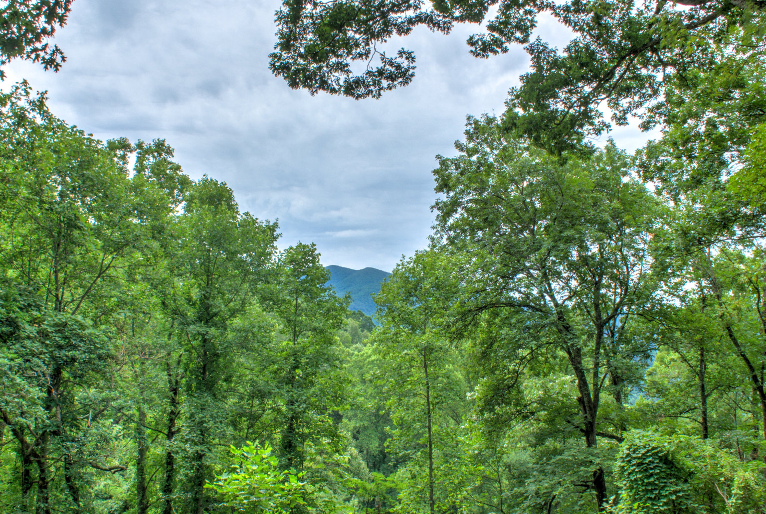 Weaverville Vacation Rental