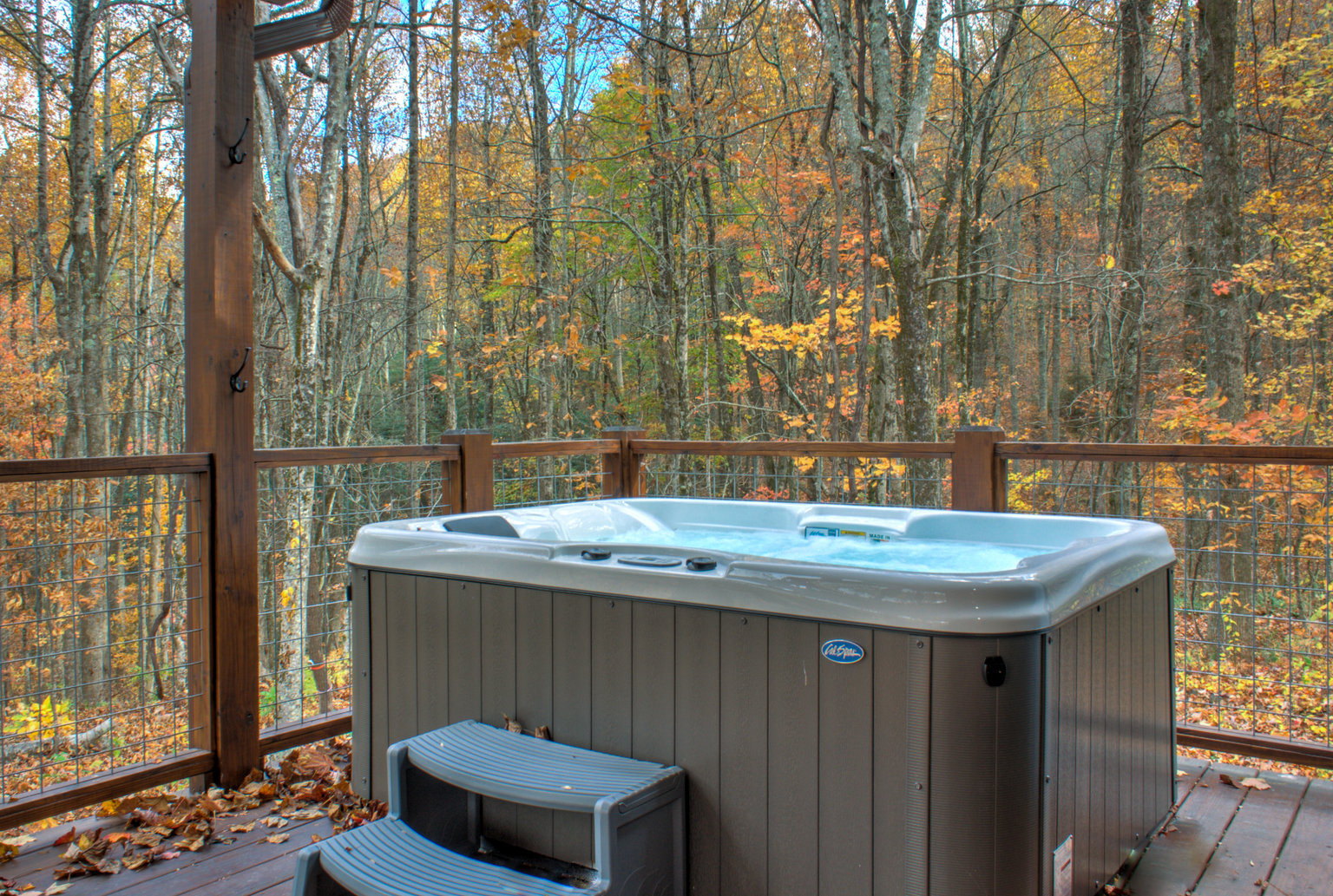 Hendersonville Vacation Rental