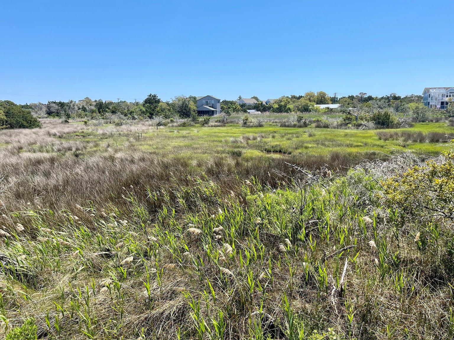 Ocracoke Vacation Rental