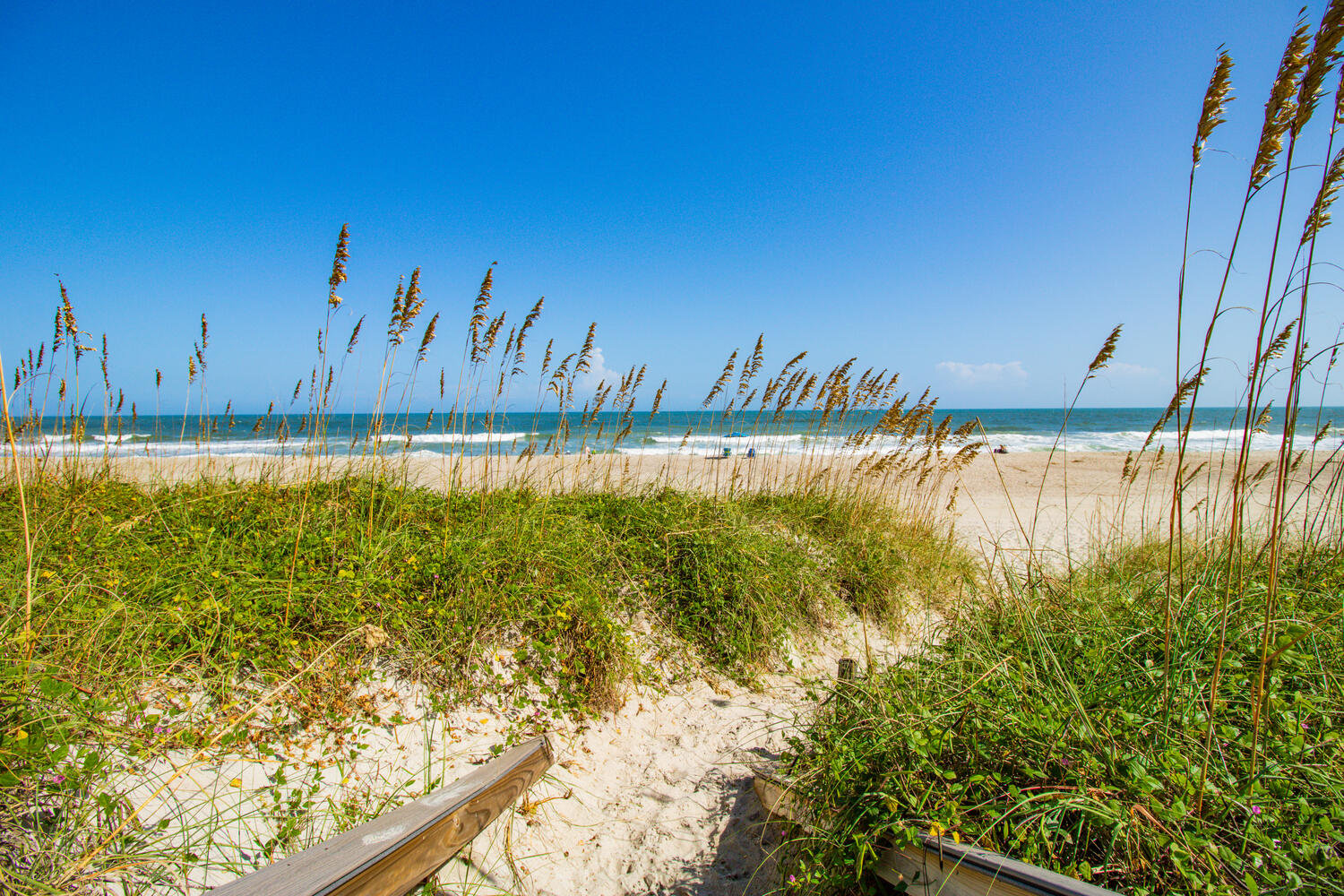 Carolina Beach Vacation Rental
