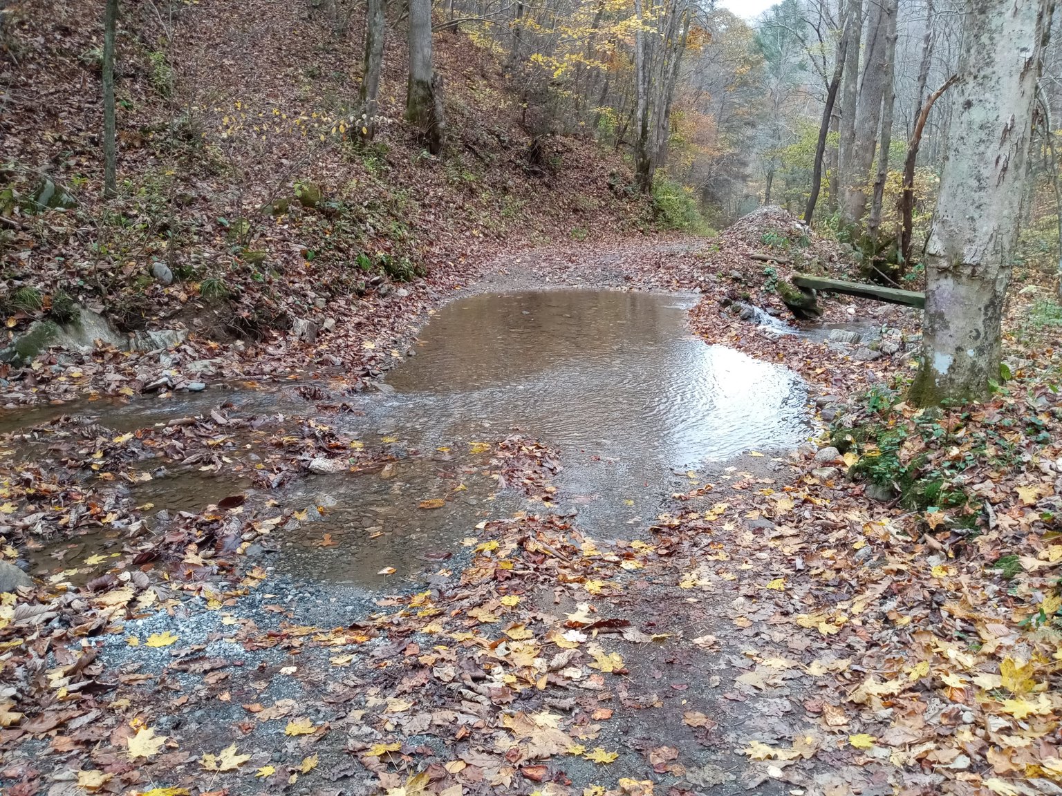 Marshall Vacation Rental