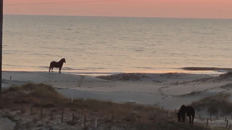 Carova Beach Vacation Rental