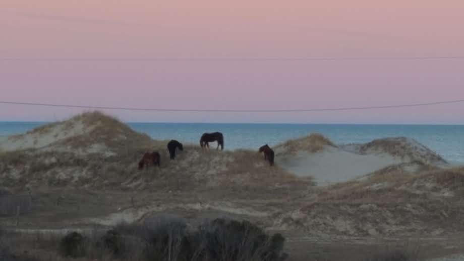 Carova Vacation Rental