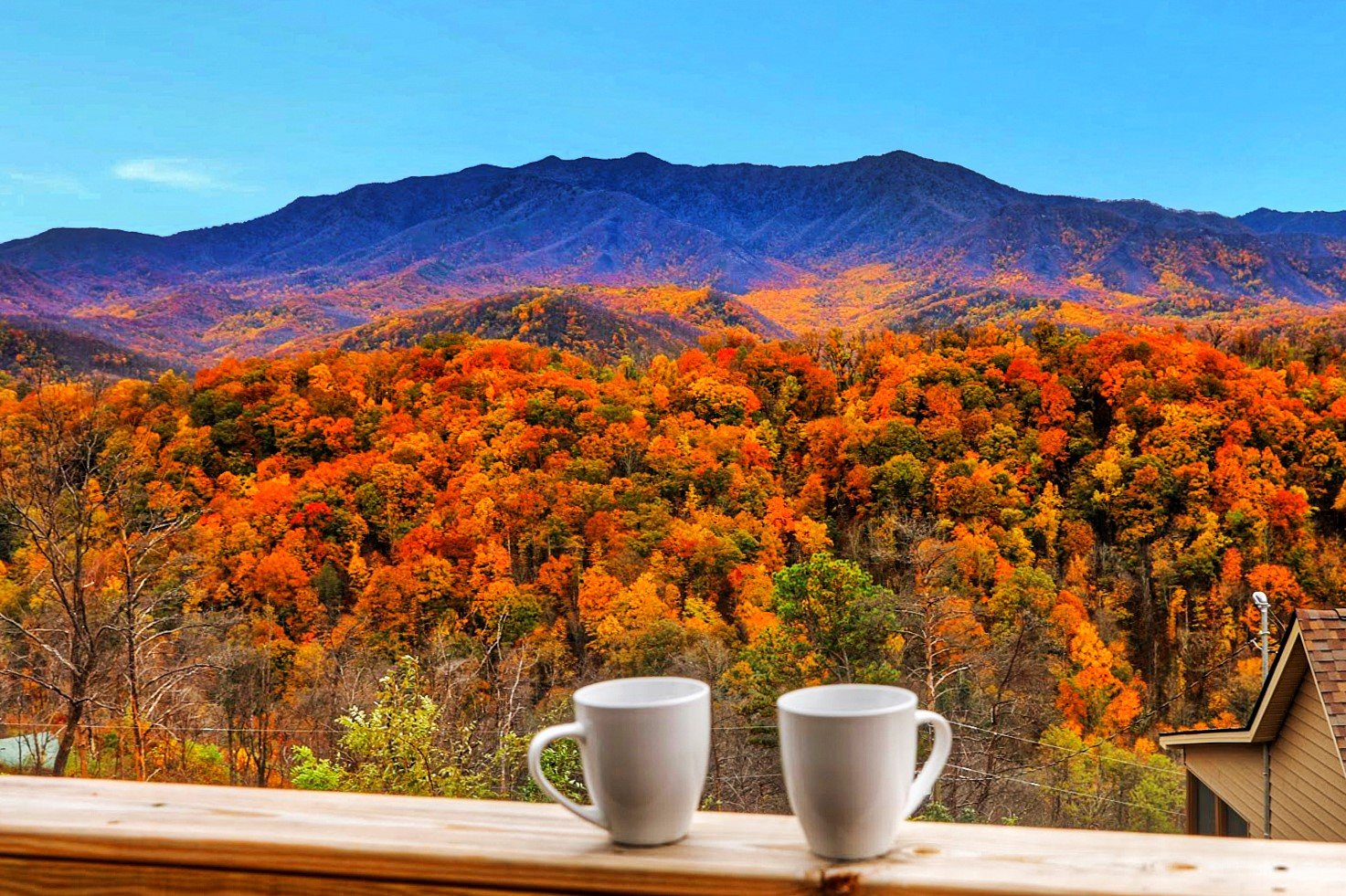 Gatlinburg Vacation Rental